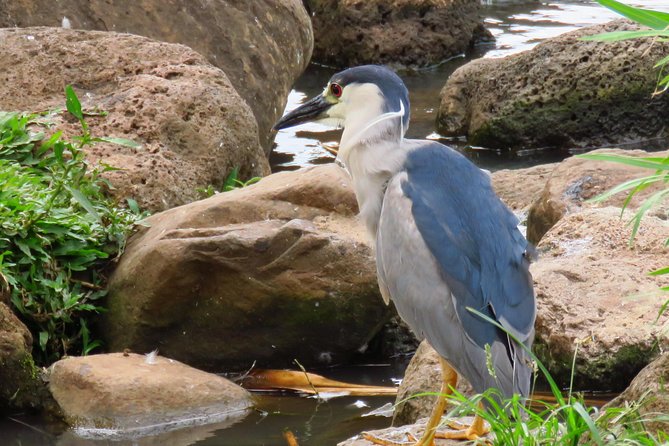 Private Shore Excursion: Best Highlights of Maui - Value and Price: Is $699 Per Group Fair?