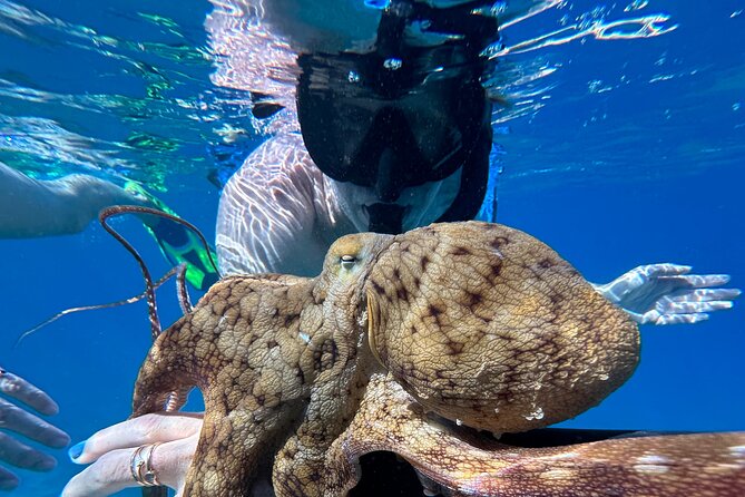 Private Snorkel Photos Included - Makena Rd Check-In and the Private Beach Setup