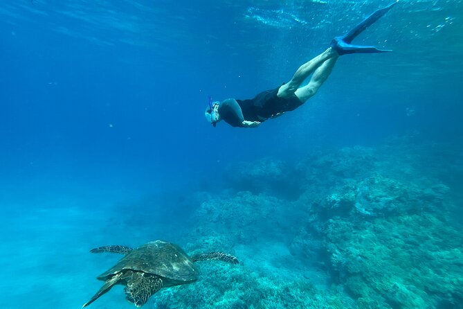 Private Snorkel Photos Included - Private Coaching for First-Timers, Anxious Swimmers, and Families