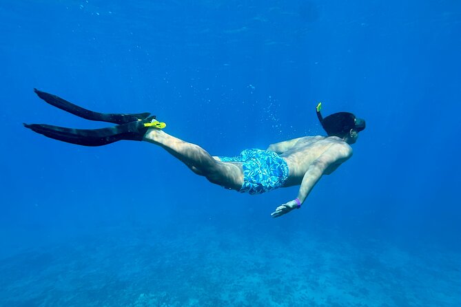 Private Snorkel Photos Included - Sea Life Encounters: Turtles, Rays, Octopus, and Close Views