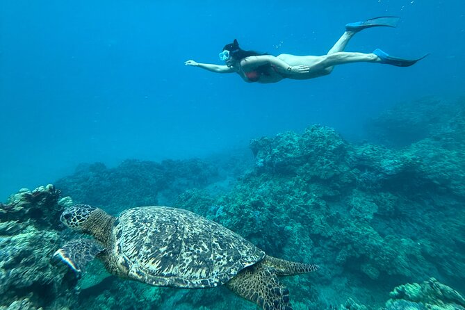 Private Snorkel Photos Included - Price and Value at $155 Per Person