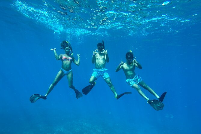 Private Snorkel Photos Included - Should You Book This Private Snorkel Tour from Kihei?