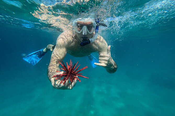 Private Snorkel Photos Included - What’s Included: Gear, Snacks, Bottled Water, and Photo Time