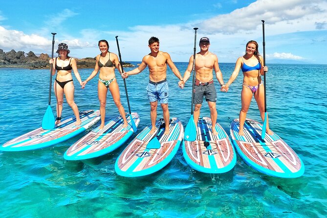 Private Stand Up Paddle Boarding Tour in Turtle Town, Maui - Learning to paddle without the stress: what the guides do that works