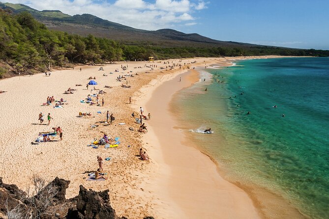 Private Transfer Kahului Airport OGG to Maui Kihei Lahaina Wailea - The 60-Minute Airport Pickup Window (And Why It Helps)