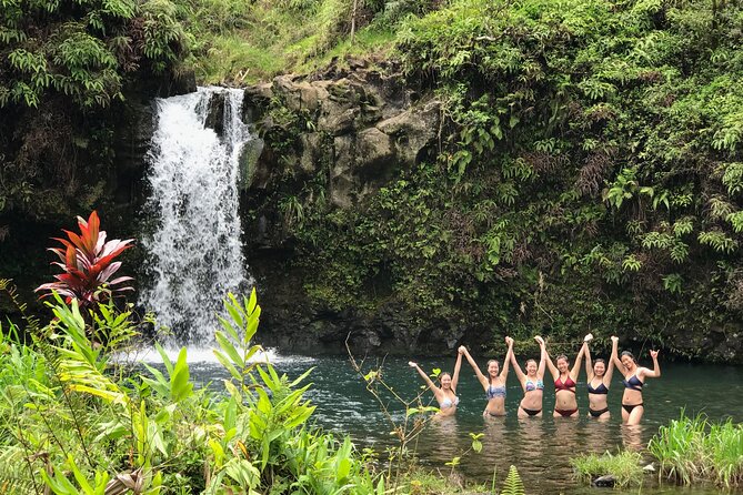 Private Unique Road to Hana Adventure - Kaumahina Wayside Park: A Quick Break With a Real View