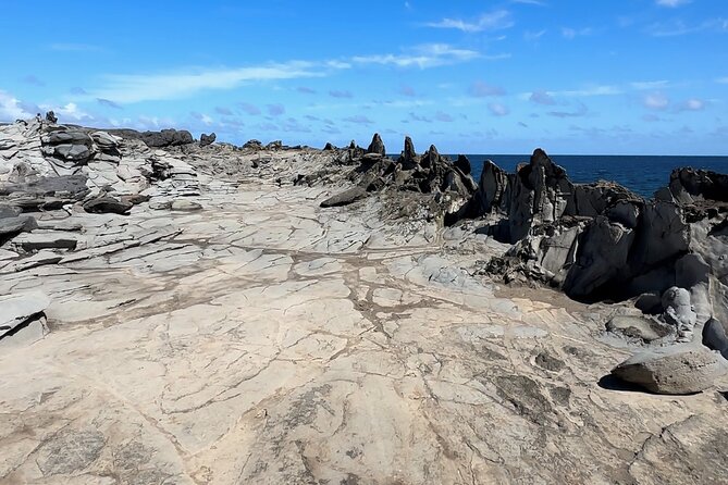 Private West Maui Coastline Open-Air Jeep Tour - Stop 2: Honolua Bay for a quieter pause