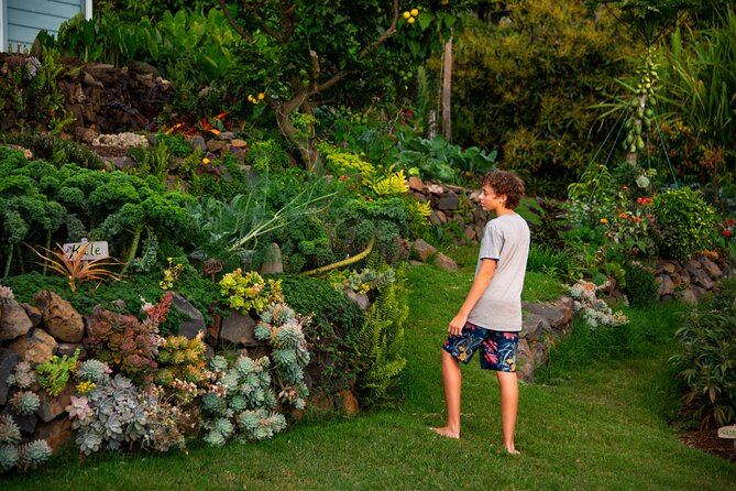 Pueo Farm Tour (1.5 hr) Upcountry Kula Maui Hawaii - The Kula Stop: Flowers, Vegetables, and Regenerative Farming in Plain Language