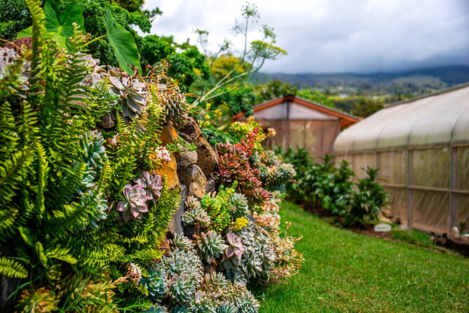 Pueo Farm Tour (1.5 hr) Upcountry Kula Maui Hawaii - Should You Book the Pueo Farm Tour?