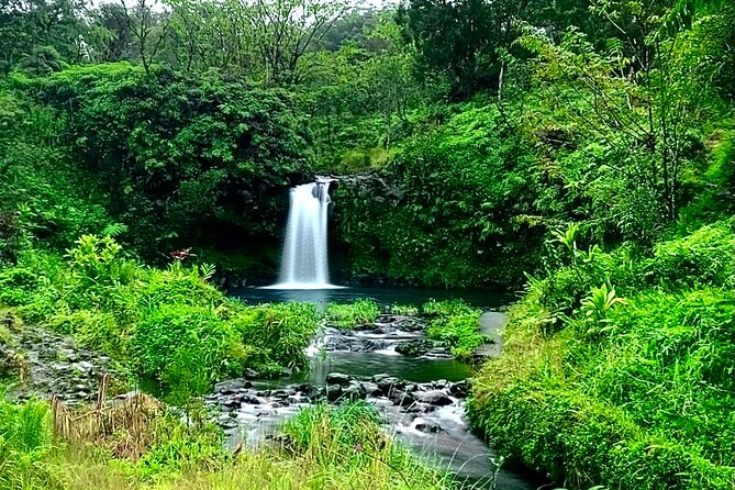 Rainforest Tour to Hana and Beyond - The early start: Kahului pickup, breakfast timing, and the 6:30 am launch