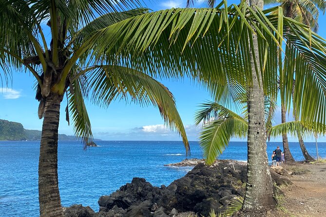 Rainforest Tour to Hana and Beyond - Hana town, Keʻanae’s coastal rocks, and Hoʻokipa’s sea-turtle watch