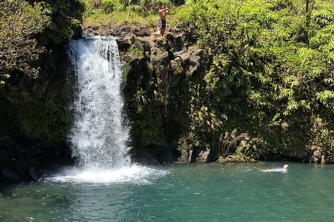 Rainforest Tour to Hana and Beyond - Huelo’s rainbow eucalyptus and the Keanae coastline outlooks