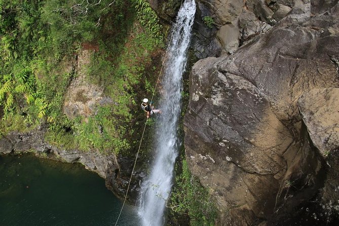 Rappel Maui Waterfalls and Rainforest Cliffs - How the rappelling lesson actually works