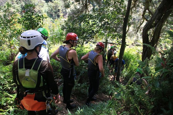 Rappel Maui Waterfalls and Rainforest Cliffs - Small group means real guide attention