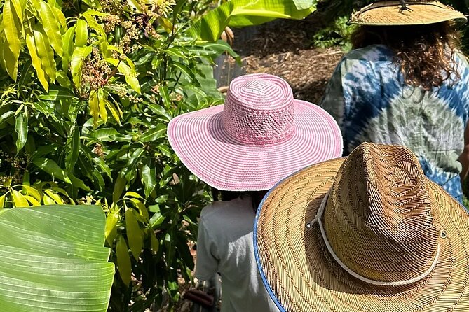 Regenerative Mango and Tropical Fruit Tour in West Maui - Key Highlights Worth Planning For