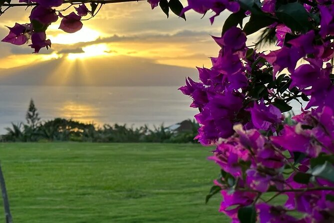 Regenerative Mango and Tropical Fruit Tour in West Maui - Self-Discovery Time for That Sunset Photo
