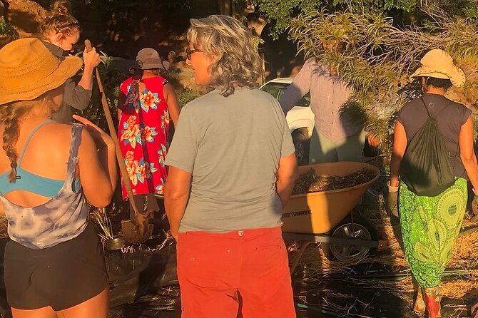 Regenerative Mango and Tropical Fruit Tour in West Maui - How Much It Costs, and Why It’s Fair Value