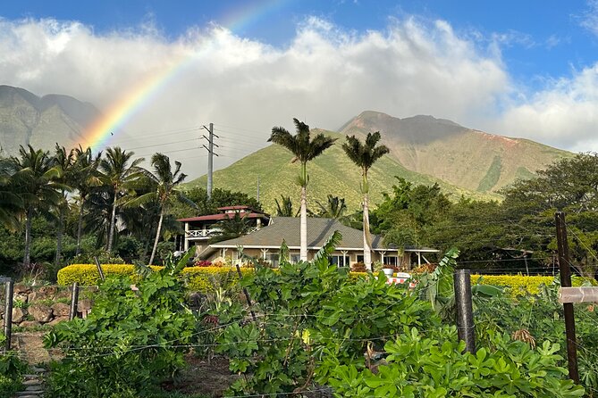 Regenerative Mango and Tropical Fruit Tour in West Maui - Regenerative Farming 101 You’ll Actually Use