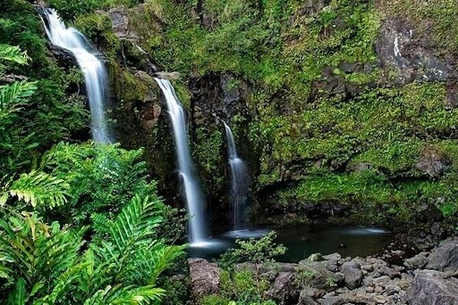 Road to Hana Deluxe Rainforest and Waterfall Experience from Oahu - Comfort on the Road to Hana: long day, short stops, smart pacing