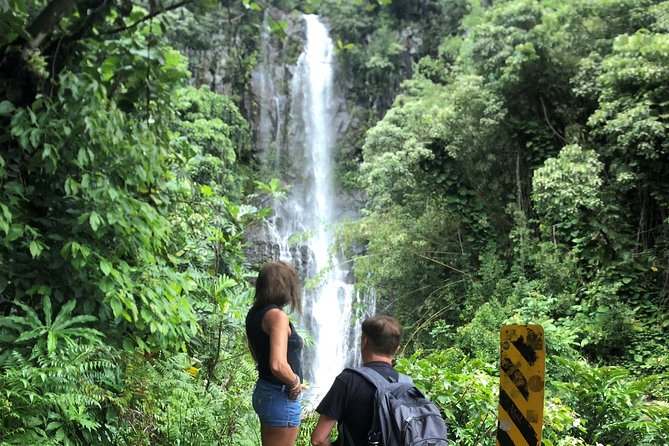 Road to Hana: Full-Day Scenic Drive with Blacksand & Waterfalls - Ho’okipa Beach Park: turtles and wind-sports up close