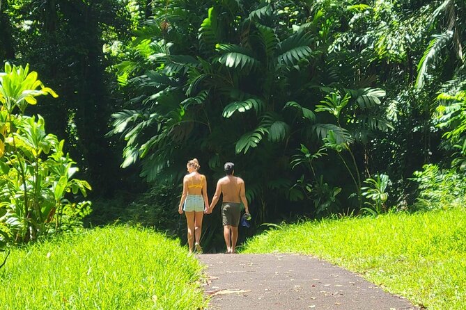 Road to Hana Full Day Tour with A Guide - How the Day Flows: Pickup Timing and Road-to-Hana Pacing