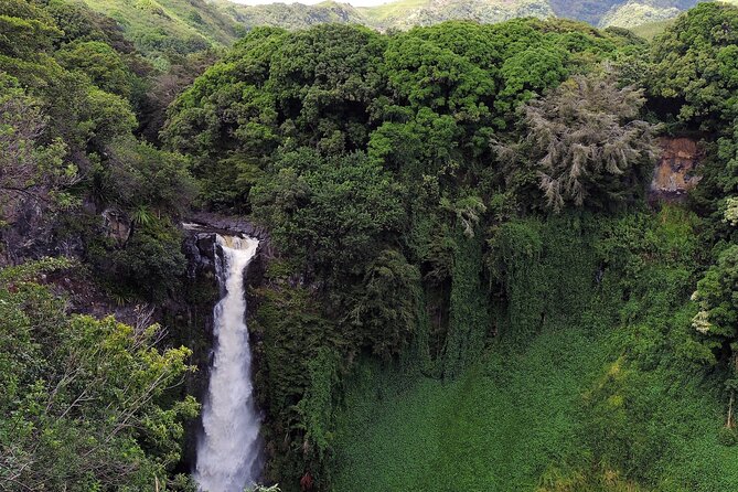 Road to Hana Full Day Tour with A Guide - Ho’okipa Beach Park and Kaumahina: Quick Stops With Meaning