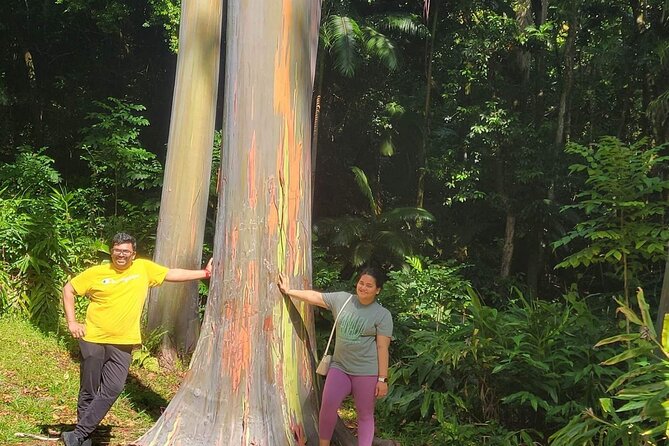Road to Hana Full Day Tour with A Guide - Ke’anae Arboretum and Ke’anae Peninsula: Rainforest Walk + Tsunami-Surviving Church