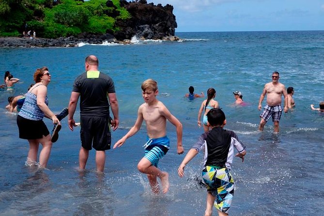 Road to Hana in Mercedes Van: Waterfalls and Black Sand Beach - Quick hits: rainbow eucalyptus and coastal lookout pullouts