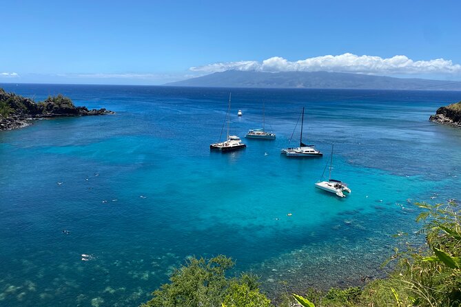 Road to Hana Maui Tours - Honokalani Black Sand Beach and Waiʻānapanapa caves