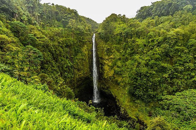 Road To Hana: Maui Waterfall Hiking Tour in Private Jeep - Road to Hana in a Private Jeep, Starting at 7:00 am