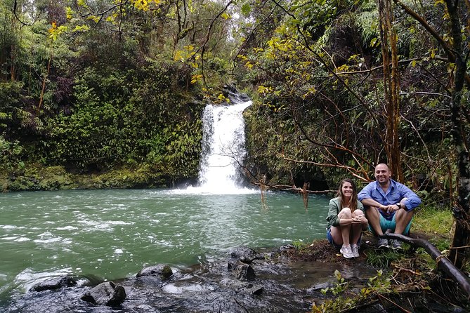 Road To Hana: Maui Waterfall Hiking Tour in Private Jeep - Black Sand Beach, Sea Turtles, and Coastal Stops You’ll Actually Remember