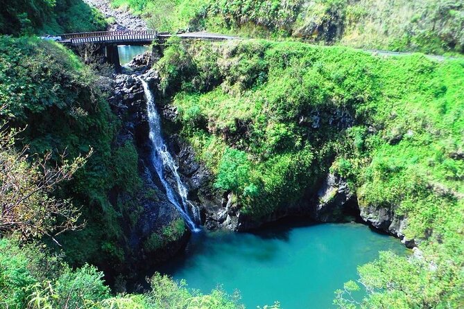 Road to Hana Private Jungle Tour - Price and Value: What $1,410 Per Person Really Buys