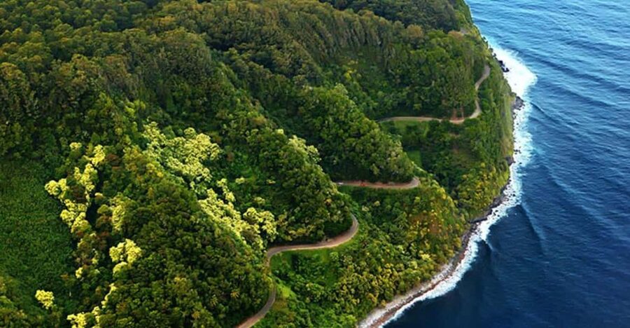 Road to Hana: Professional Guide, Food, Swimming, Waterfalls - Let someone else drive: the real Road to Hāna value