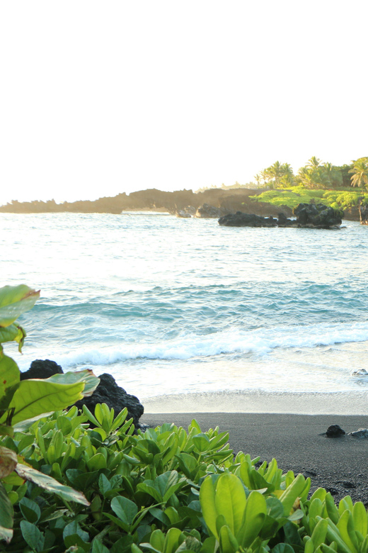 Road to Hana: Professional Guide, Food, Swimming, Waterfalls - Price and value: why $279 can be fair for this day length