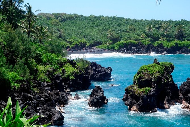 Road to Hana Rainforest, Black Sand Beach, Waterfalls & Lunch - Price and Value: $245.99 Buys a Managed Day, Not Just Sightseeing