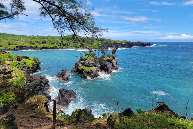 Road to Hana Rainforest, Black Sand Beach, Waterfalls & Lunch - The Hana Highway Drive: Bridges, Turns, and a Guide Managing the Chaos