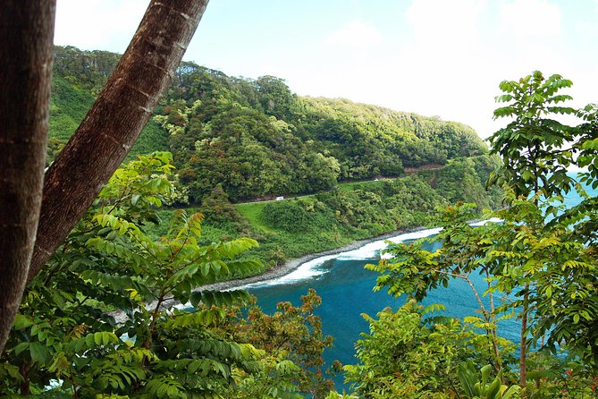 Road to Hana Tour with Lunch and Pickup - The Hana Highway drive: why the guide and pacing matter