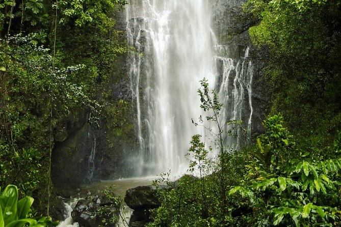 Road to Hana Tour with Lunch and Pickup - Puaa Kaa State Park waterfall swim: say yes only when conditions allow