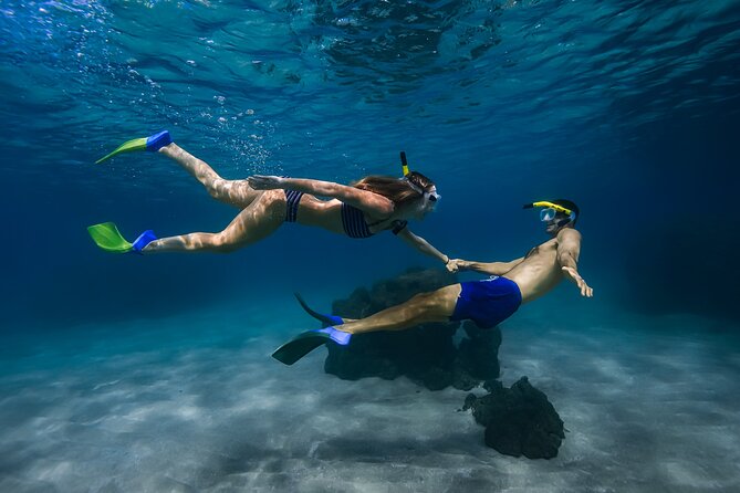 Scenic Coastal Adventure In 4x4 With Turtle Town Snorkel + Photos - Key highlights worth your attention