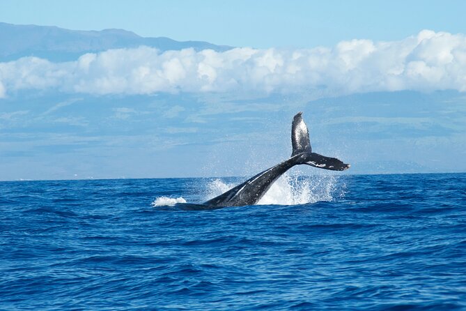 Scenic Coastal Adventure In 4x4 With Turtle Town Snorkel + Photos - Keoneʻōʻio Bay: quick photo time and why this stop matters