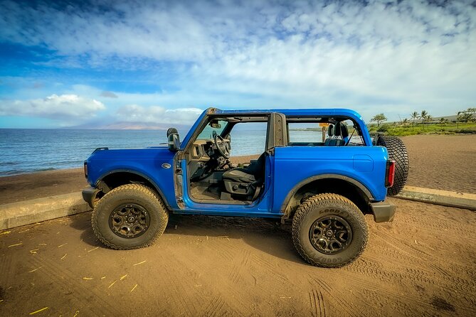 Scenic Coastal Adventure In 4x4 With Turtle Town Snorkel + Photos - Olowalu Turtle Reef snorkel: guided gear, sea life, and real-world support