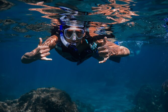 Scenic Coastal Adventure In 4x4 With Turtle Town Snorkel + Photos - Photos and video included: get the memories without juggling your phone
