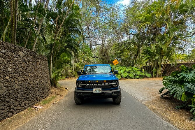 Scenic Coastal Adventure In 4x4 With Turtle Town Snorkel + Photos - Guides can make or break the day: Robbie, Derrick, and the calm factor
