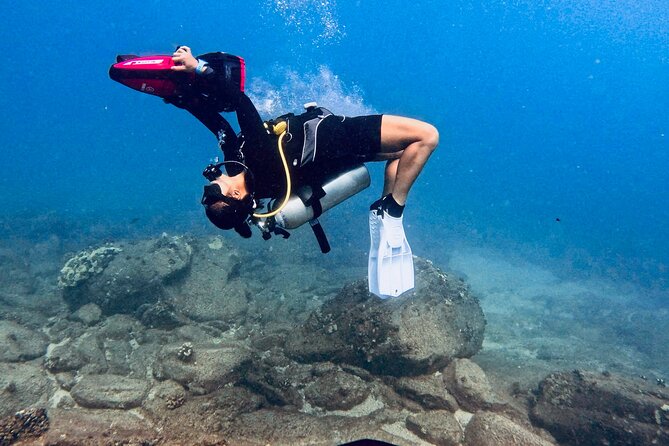 Scuba Diving in Maui with No Experience Needed - What Makes This Maui Scuba Start Work Without Experience