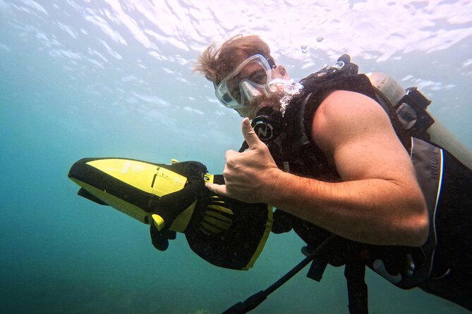 Scuba Diving in Maui with No Experience Needed - Logistics That Actually Matter: Small Group, English, Shore Access