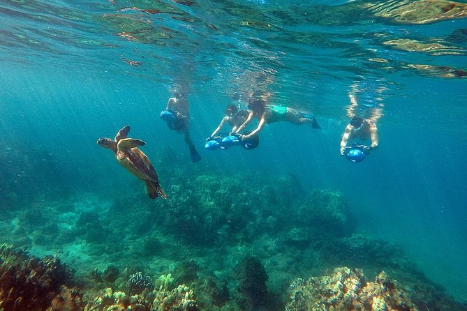 Sea Scooter Snorkeling Tour with GoPro - Wailea Beach - Picking Your Start Time: 8 a.m. Calm vs 9:10 a.m. Challenge