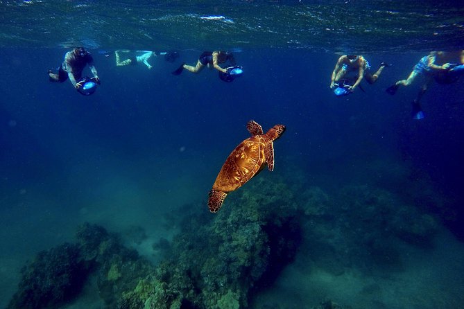 Sea Scooter Snorkeling Tour with GoPro - Wailea Beach - Equipment Details: Goggles, Life Vests, and What You Actually Use