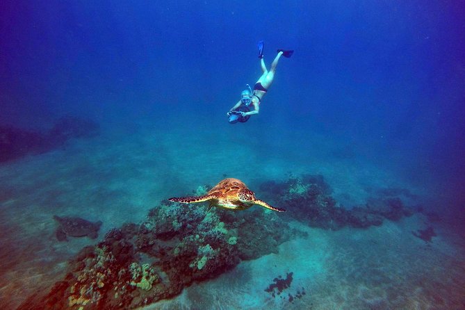 Sea Scooter Snorkeling Tour with GoPro - Wailea Beach - GoPro and Underwater Media: What You Get vs What Costs Extra