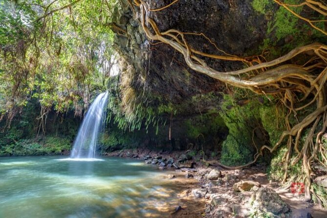 Self-Guided Audio Driving Tour in Maui - Kipahulu and Ohe’o Gulch: Seven Sacred Pools and the Pipiwai Trail gateway