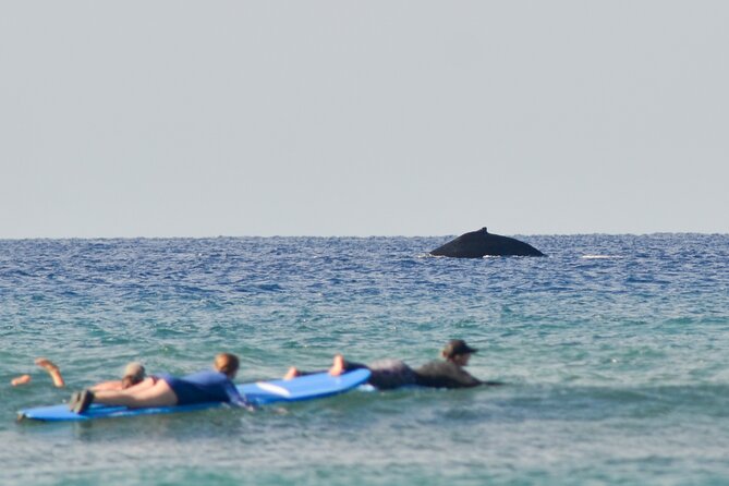 Semi Private Surf Lessons with Experienced Coaches - Key highlights